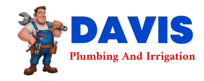 Trusted plumber in DICE